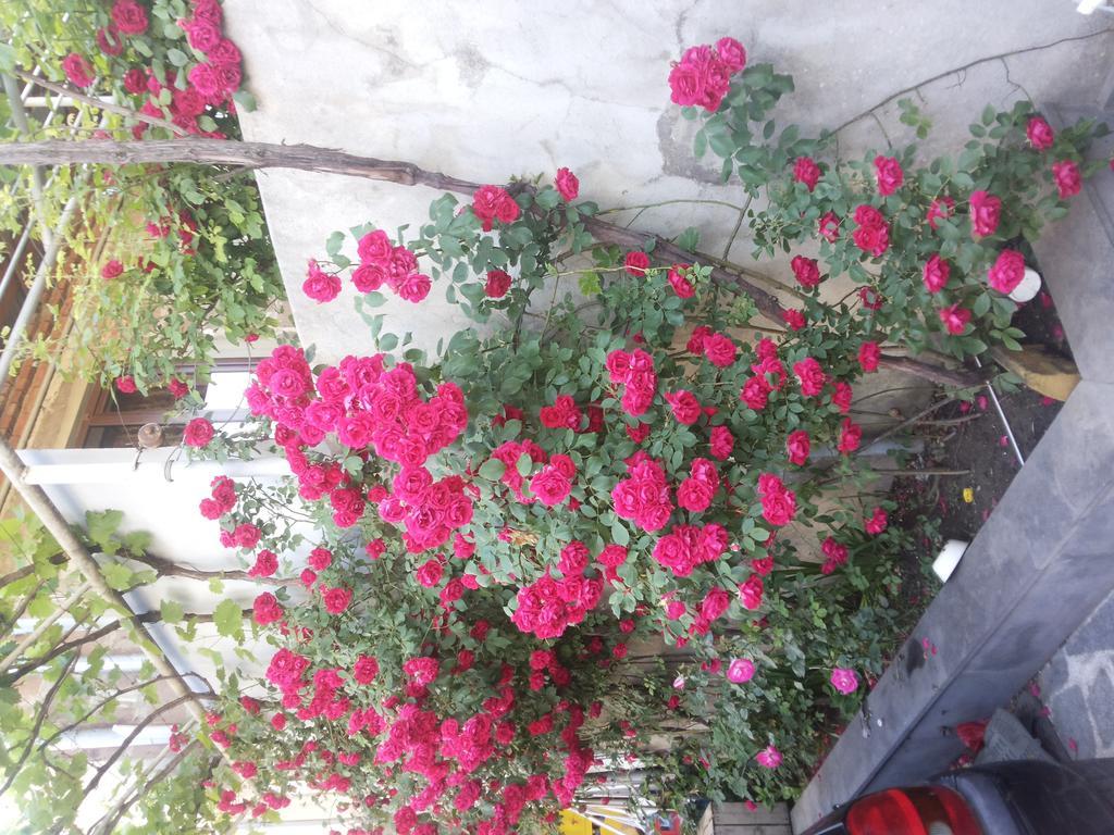 Guest House Svetlana Gori Exterior photo